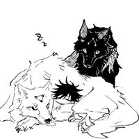 cão divino
