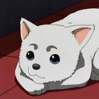Yaori (Ml"s pet)