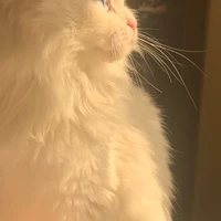 Marie 