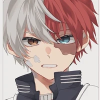 Shoto Todoroki (O-P)