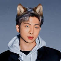 NamJoon • Híbrido •