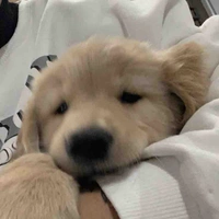 น้องโอ่ง