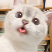 แอด