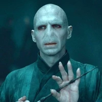 Voldemort (idiota)