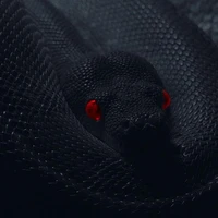 𝐓𝐡𝐞𝐨𝐝𝐨𝐫𝐞.[ตอนเป็นงู]