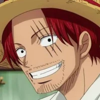 shanks