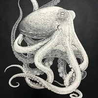 octavian deepfin/octopus form/ml