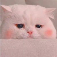 แอดมินเองง