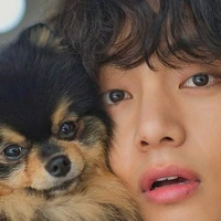 TAE