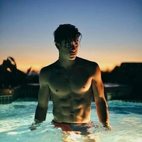 Gabriel Hudson ( ML )