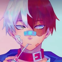 shoto todoroki