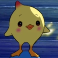 pipo