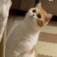 แอดเอง❤️