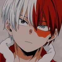shoto todoroki