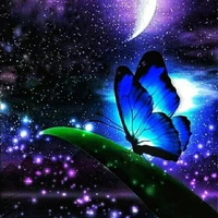 Flower gengs [Fayya dkk]