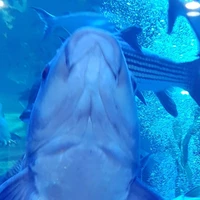 ？？？