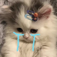แอดเอง