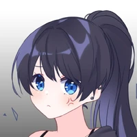 Y/N