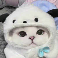 ก็อต (นายเอกในร่างแมว)
