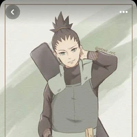shikadai futuro