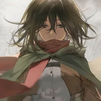 mikasa