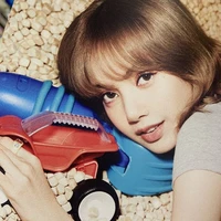 Lily Azalea Lavendra