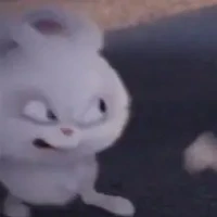 ดาว