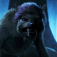 Enid/Takemichi hombre lobo