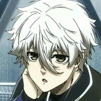 Nagi seishiro