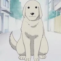 Shiro