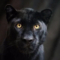 บาร์บาร่า