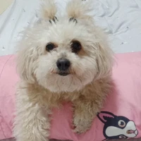 แอดเองงง