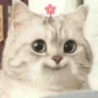 เเอด