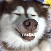 บอส