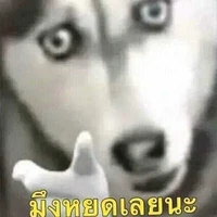 แอด