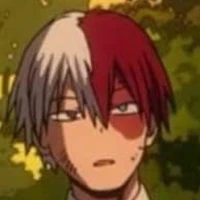 todoroki