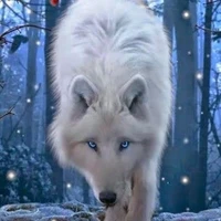 Linna [wolf of Jungkook]