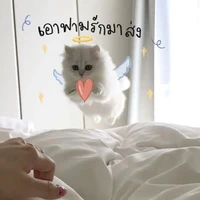 น้องเเอด