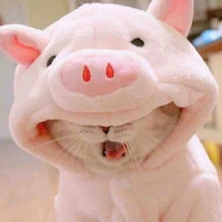 แอดเองจ้า