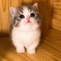แอดค่ะแอดค่ะ