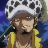 law