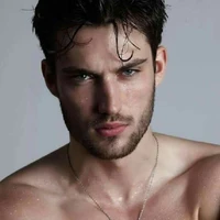 Aleksander D