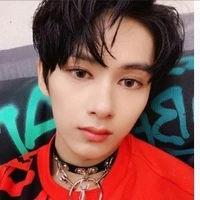 Wen Junhui
