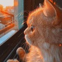 Euuuuuuuu