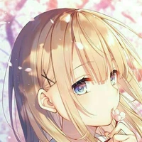 y/n