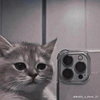 autora