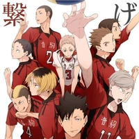 Nekoma Volleyball Team