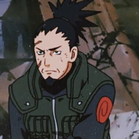 Shikaku