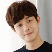 s.r lee