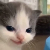 NNN n.